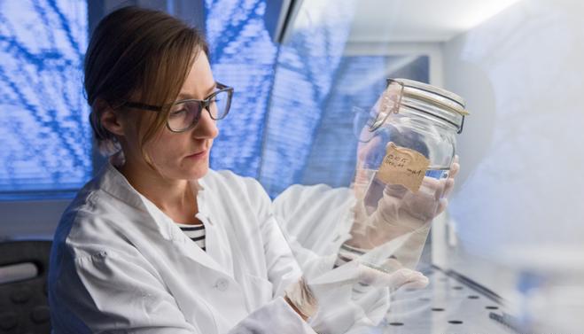 arktik okyanu mikroplastik alarmi