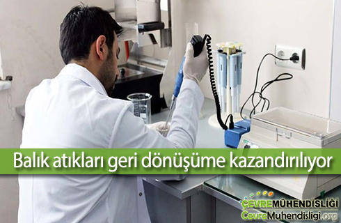 balik atiklari geri donusumu 2018haber