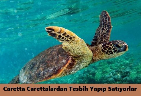 caretta-tesbih-2018haber