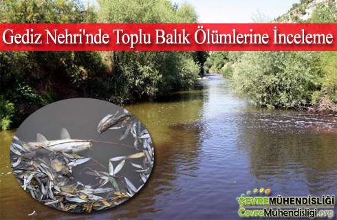 gediz-nehri-balik-olumleri-2018haber
