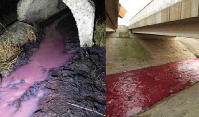 geri-donusum-tesisi-zehri-1