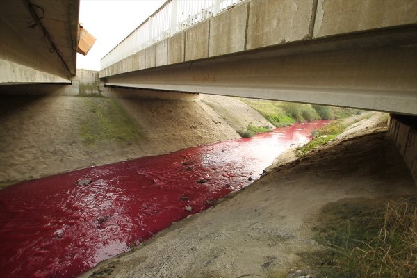 geri-donusum-tesisi-zehri-3