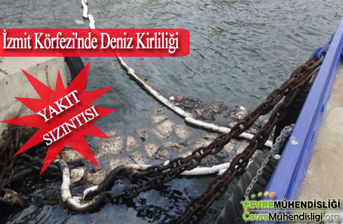 izmit-korfezi-kirliligi-2018haber