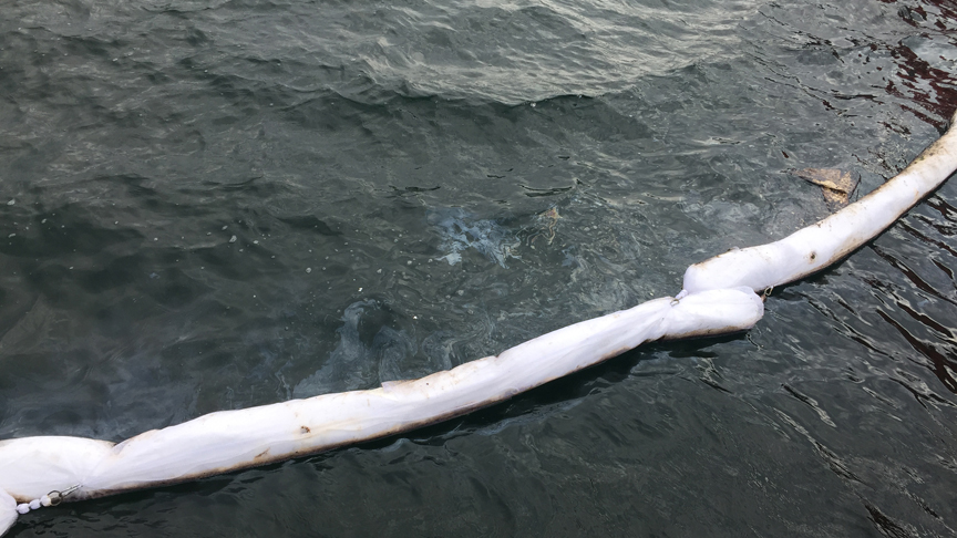 izmit-korfezi-kirliligi