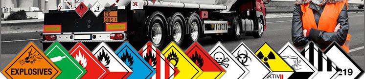 kuresel tmgd hizmet1