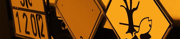 kuresel tmgd hizmet2