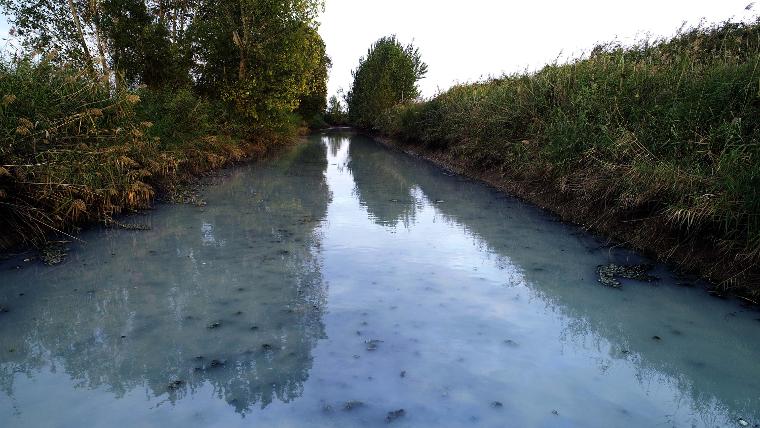 meric-nehri-beyaz-akiyor-1