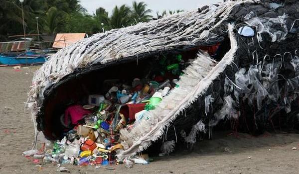 okyanuslardaki-balinalar