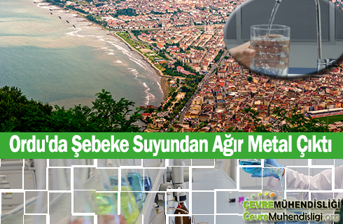 ordu sebeke suyu agir metal haber