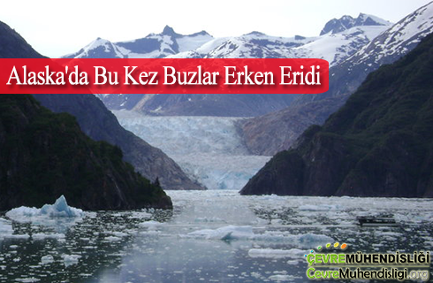 alaskada buzlar erken eridi 2019 haber