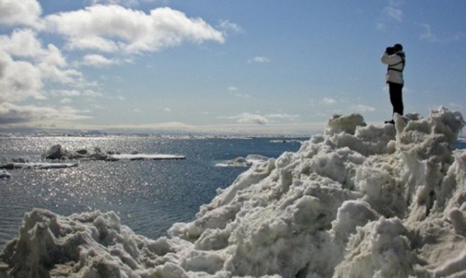 alaskada buzlar erken eridi