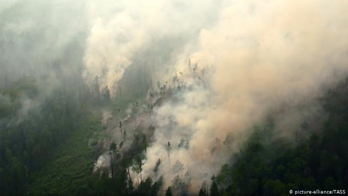 amazon ormanlari yaniyor 2019 haber 2