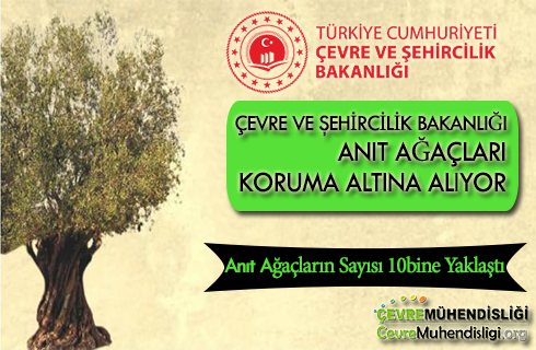 anit agaclari csb koruyor 2019 haber