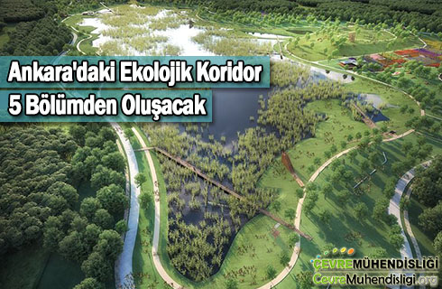 ankaradaki ekolojik koridor 2019 haber