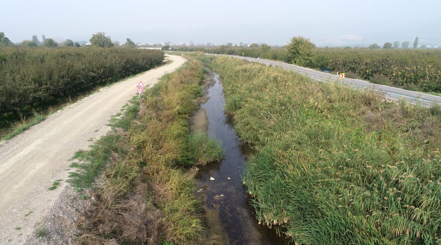 bursadaki balik olumleri devam ediyor 1