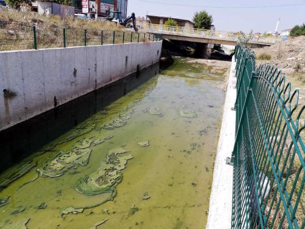 dere kirliligi 2019 1