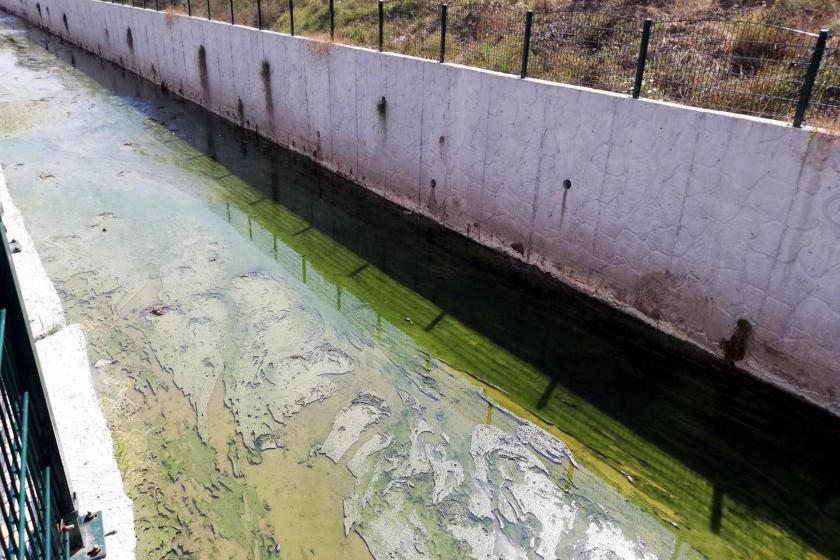 dere kirliligi 2019 2