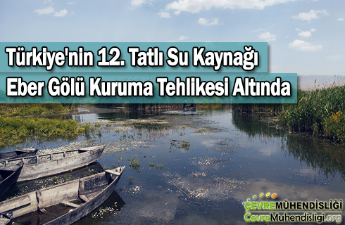 eber golu 2019 haber