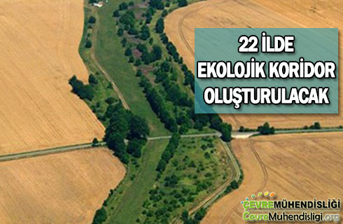 ekolojik koridor 2019 haber