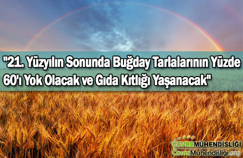 gida kitligi 2019 haber