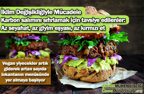 iklim degisikliyle mucadele 2019 haber