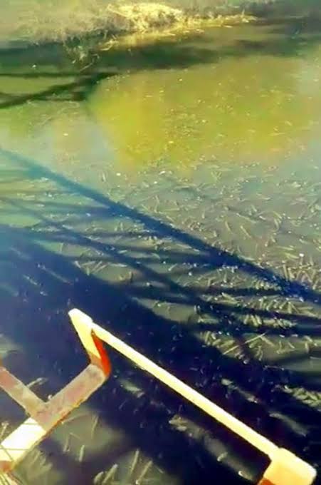 nifritte fabrikalar mercek altinda 1