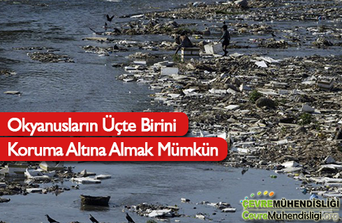 okyanuslari koruma altina almak mumkun 2019 haber