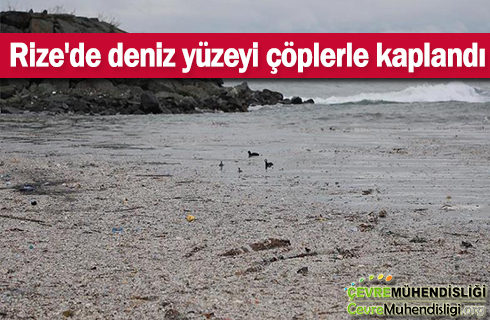 rize de deniz yuzeyi coplerle doldu 2019haber