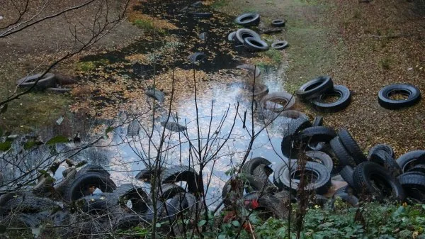 sile ormaninda cevre felaketi 2019 1