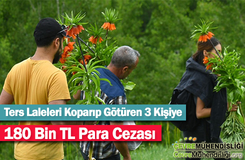 ters laleleri koparanlara ceza 2019 haber