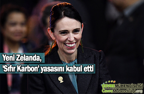 yeni zelanda sifir karbon 2019 haber
