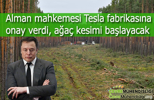 alman mahkemesi tesla fabrikasina onay verdi agac kesimi baslayacak 2020