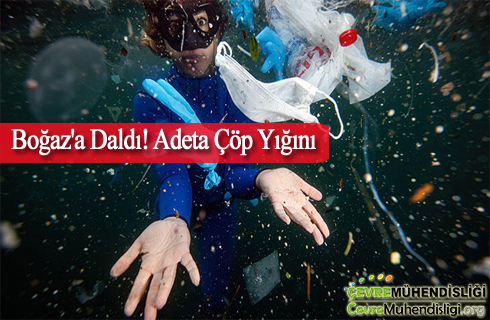 bogaza daldi adeta cop yigini