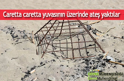 caretta caretta yuvasinin uzerinde ates yaktilar