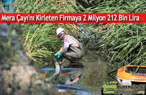 cayi kirleren firmaya ceza 2020