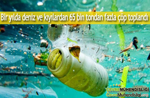 denizlerdeki copluk 2020