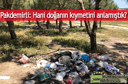 doganin kiymeti 2020