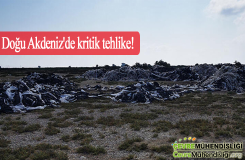 dogu akdenizde kritik tehlike