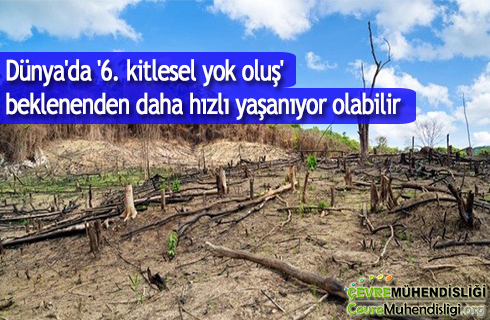 dunya da 6 kitlesel yok olus beklenenden daha hizli yasaniyor olabilir