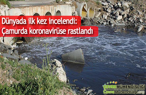 dunyada ilk kez incelendi camurda koronaviruse rastlandi 2020