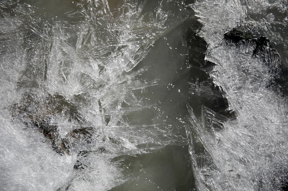 dunyanin ucuncu kutbu alarm veriyor 2020 4