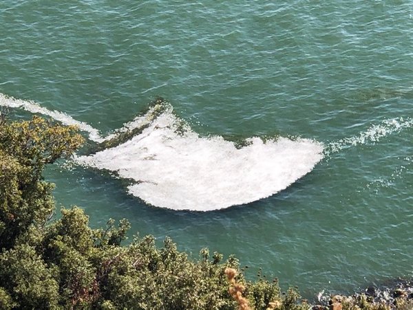 egirdir golu kopurdu 0