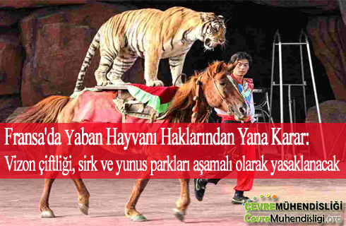 fransada yaban hayvani haklarindan yana karar