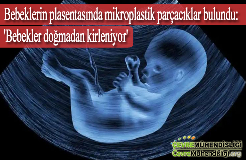 plasentada mikroplastikler