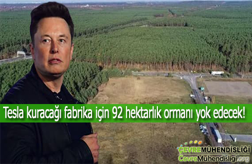 tesla kuracagi fabrika icin 92 hektarlik ormani yok edecek