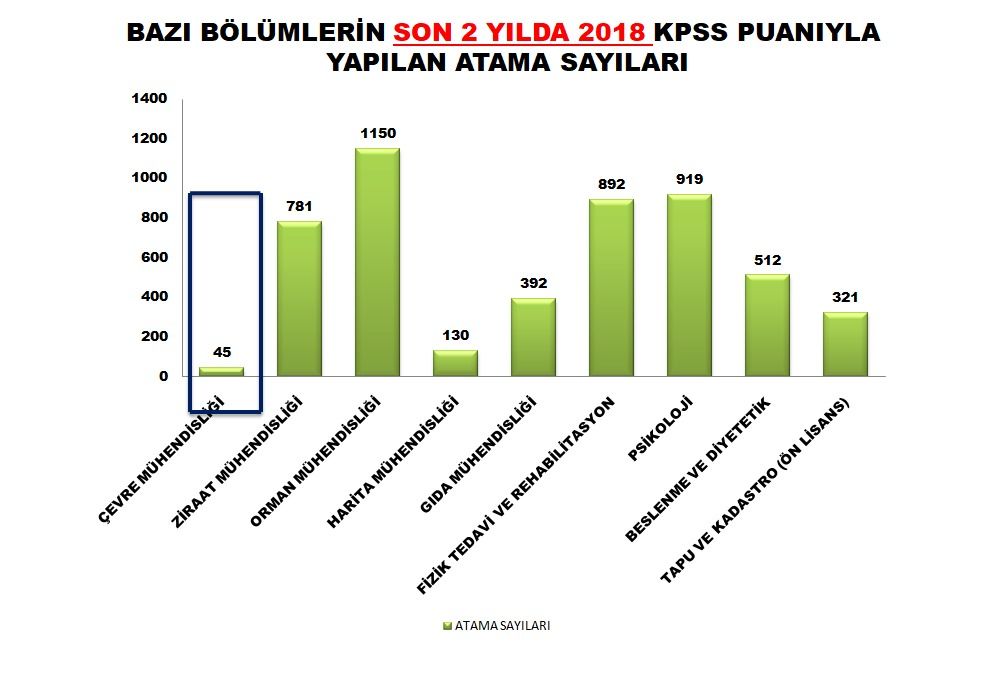 yillara gore atamalar
