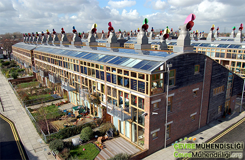 zero build forum 2020 1