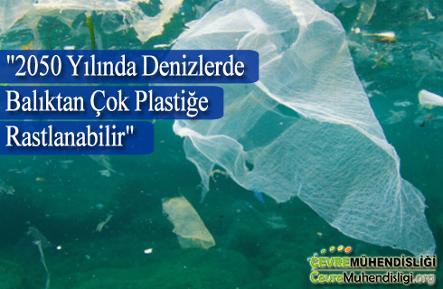 2050 yilinda denizlerde baliktan cok plastige rastlanabilir