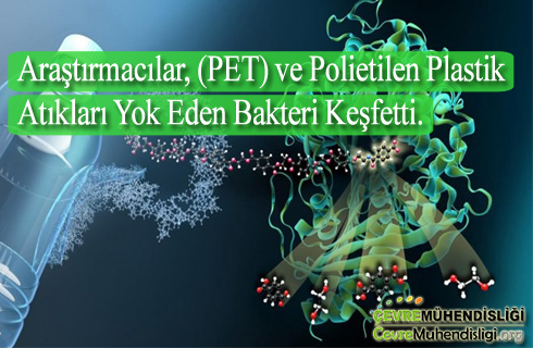 arastirmacilar plastik atiklari yok eden bakteri buldu