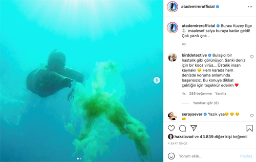 ata demirer deniz salyasi kuzey egeye kadar geldi 2